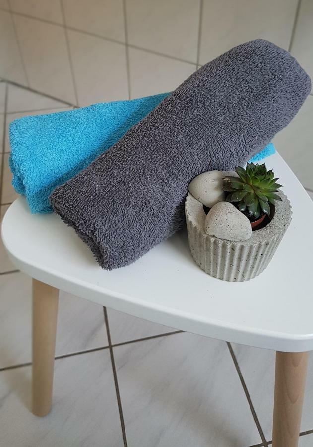 Naehe Mainz - Ferienwohnung - Apartment Breivogel In Wörrstadt Kültér fotó