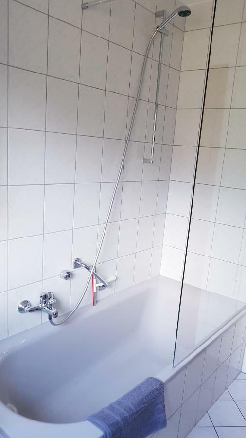 Naehe Mainz - Ferienwohnung - Apartment Breivogel In Wörrstadt Kültér fotó
